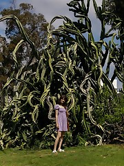 Balboa Park in San Diego is a lovely setting for portraits. I recommend that you go early in the morning before swarms of sweaty, overweight tourists arrive to obstruct the picturesque backgrounds. Onna Metcalf has a shy demeanor that had me assuming she'd be unable to pull off risky shots in public. Onna is quiet and generally keeps her emotions to herself, but one thing she is not is risk-averse. Let's all take this Monday, lay it on its back, pull its Amazon Essentials panties to the side, and remind it who is boss.