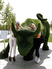 Krasnodar is not a hugely popular tourist destination in Russia, but I had my reasons for visiting. Namely, Diana Sedova (orange top) and Victoria Minina (white). These two attractive young women showed me around at the stadium built for the 2018 World Cup. It was easy to become overwhelmed by all the photo-worthy opportunities. But that is why we have two-part updates. That is why you should expect more from them in the next few days, including a bonus video. upskirt photo