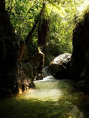 Another fetching set of photos from deep in the heart of Colombia. Our contributor, Viky, cheated a bit here though. She takes us to an ultra-picturesque location with an amazing woman, Ileana Burgos. This takes no skill. Anyone could do it. Let's see what Viky can do with a 50-year-old crackhead at a landfill. Good luck with that! Don't let these results blow up that ego of yours, V. Have a nice weekend. upskirt photo