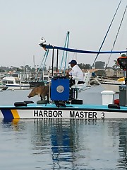 I took the uniquely beautiful Jeni Kessler to Newport Beach for some photos at the harbor. We caught the attention of a few recreational boaters and one offered the use of his vessel free of charge. Of course, this meant he would be aboard as Jeni modeled provocatively, but I am sure this had zero to do with his kind offer. My initial reaction was to refuse, but I asked Jeni how she felt, and she gave it the green light. All was cool until our captain presented an impromptu poem that he had written for Jeni while we photographed. That's wonderful, mate. Would you look at the time? We must be going. Have some video tapes to return. celebrity upskirt